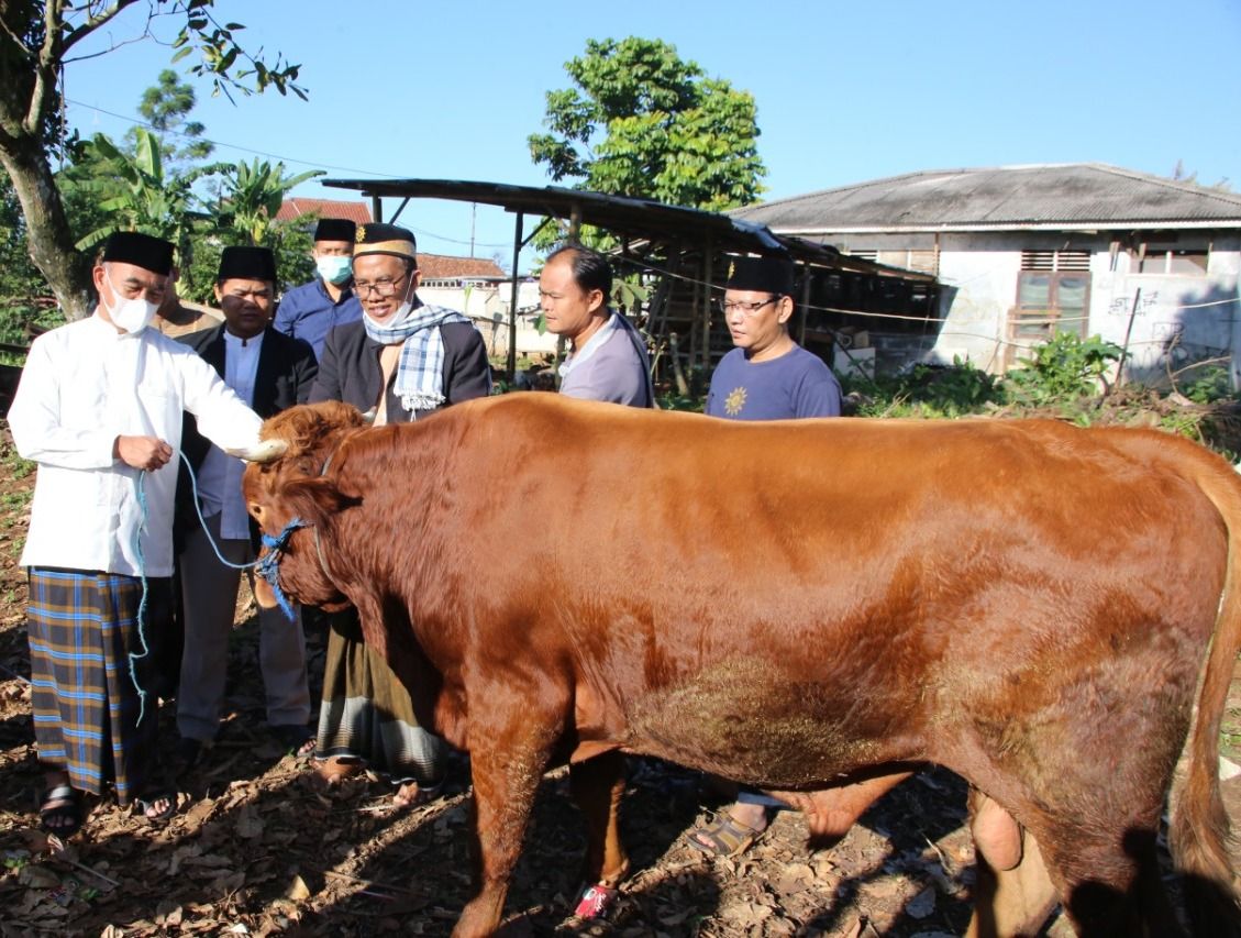 podiumnews.com-Muhadjir: Idul Adha Momentum  Penggerak Ekonomi